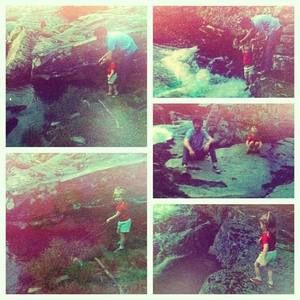 Meet your Posher, Harry